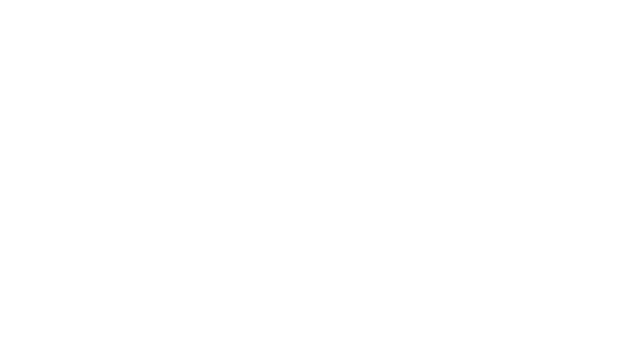 Ipsum